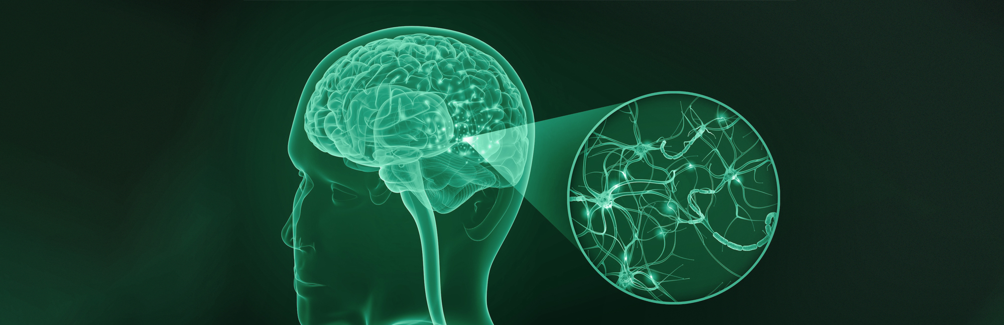 Early Alzheimers Detection Study Image