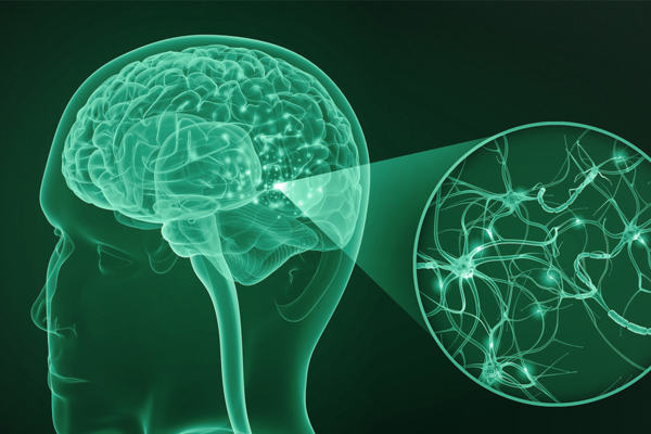 Early Alzheimers Detection Study